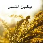 فيتامين” د”  – تعرف على أهمية ومصادر  فيتامين “D” مع الجرعة المناسبة يوميا