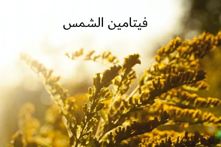 فيتامين" د" - تعرف على أهمية ومصادر فيتامين "D"