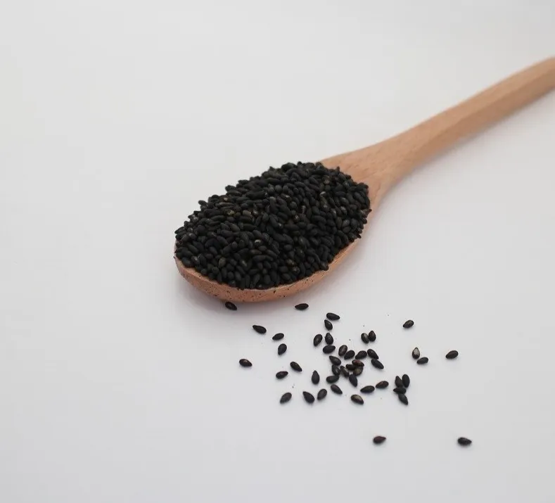 Read more about the article الحبة السوداء كنز صحي – كل ما تود مَعرفته عن فوائد حبة البركة