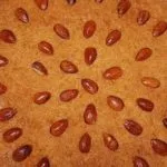 طريقة عمل البسبوسة الأصلية بدون بيض بخطوات بسيطة وسريعة في المنزل